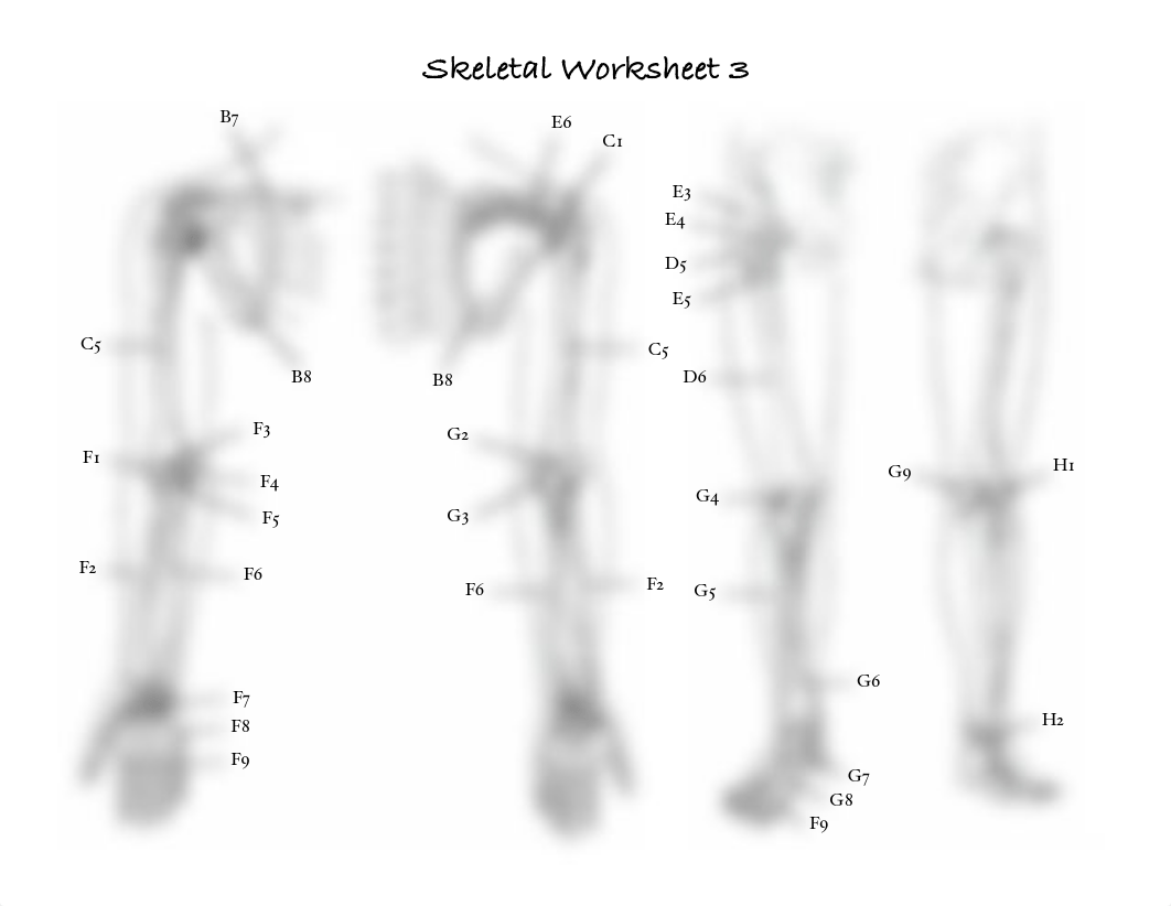 Skeletal Worksheet.pdf_dki57va1v81_page3