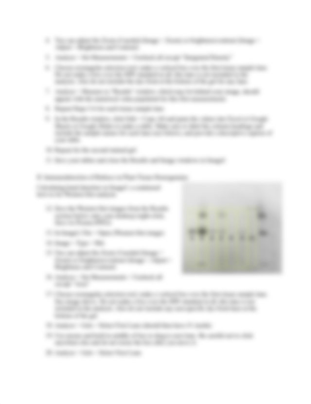 Lab_11-Analysis_of_Coomassie_stain_and_Western_blot-Final_(1).docx_dki6st5szg3_page2