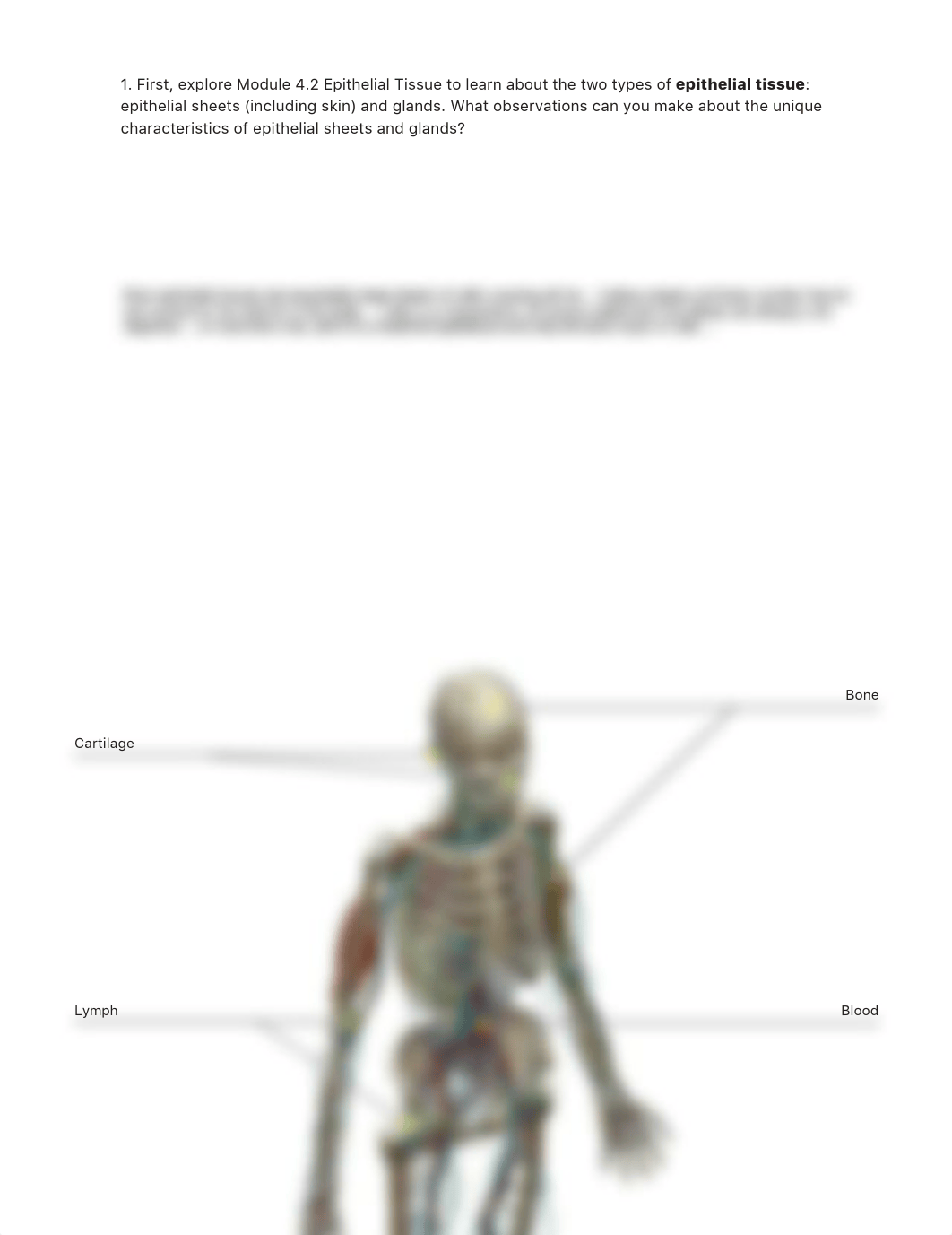 lab manual_tissues_a+p.pdf_dkialzijgeh_page5