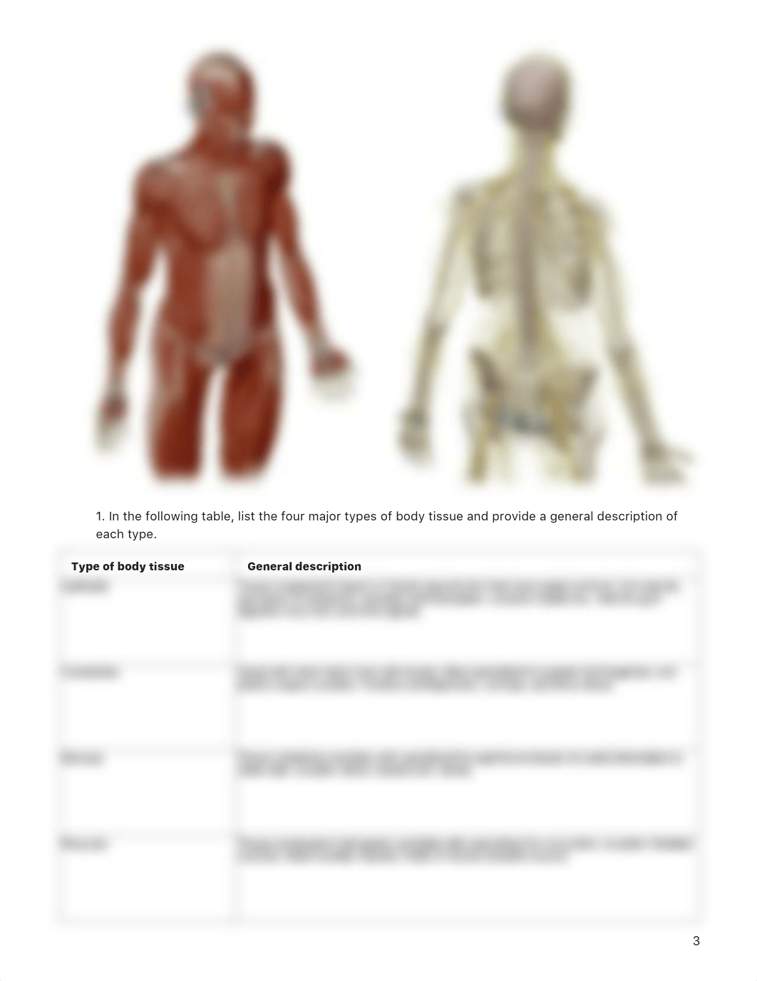 lab manual_tissues_a+p.pdf_dkialzijgeh_page3