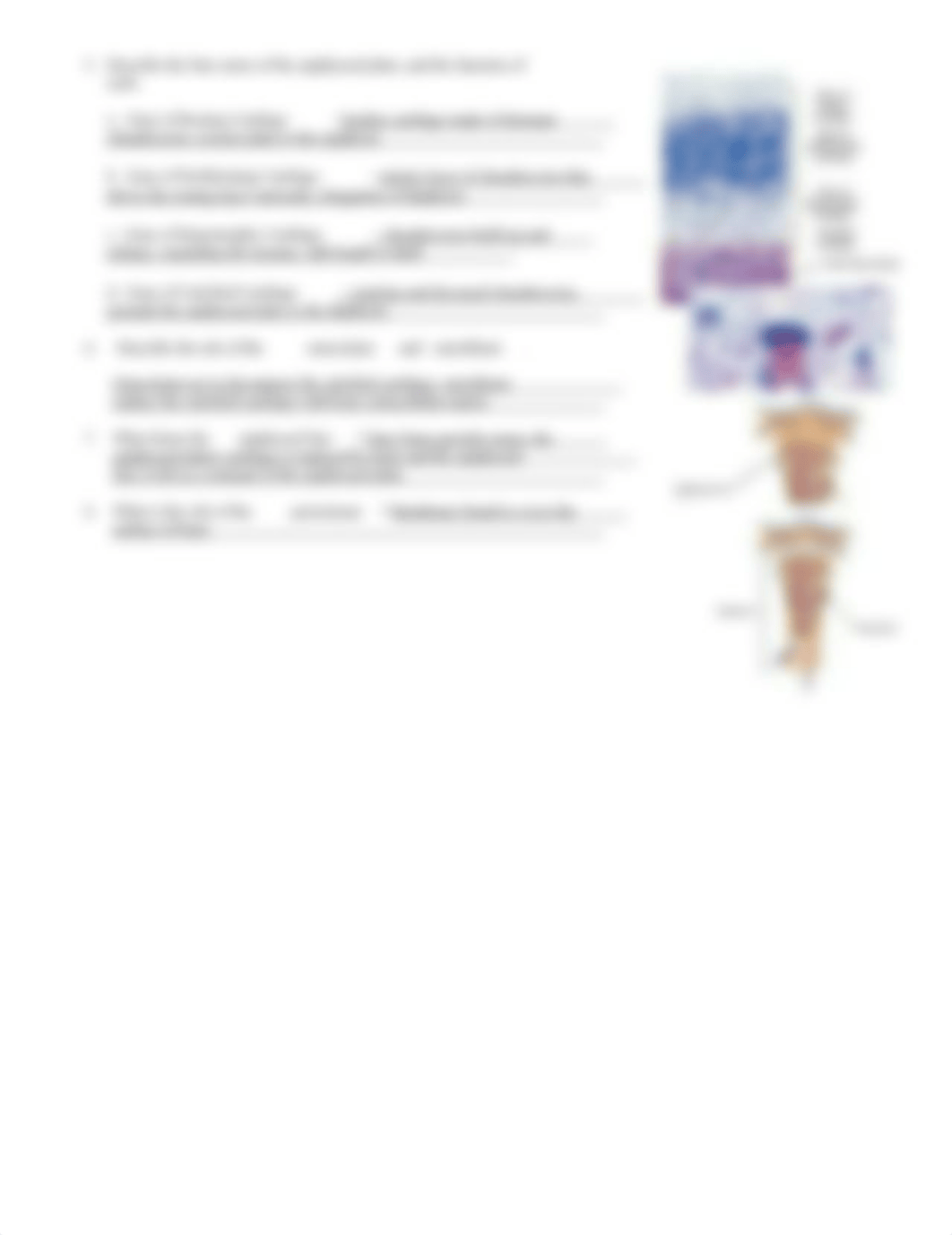 Chp 6 Bone Growth and Remodeling.doc_dkicpecwqhf_page2