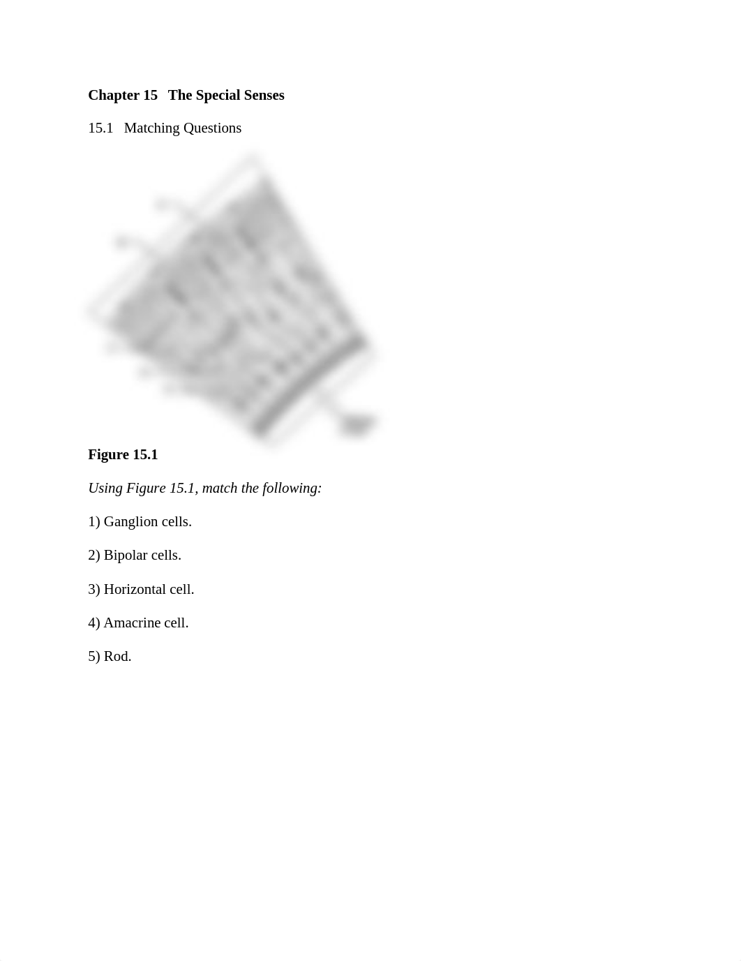 ch_15_worksheets_dkiil4f264t_page1