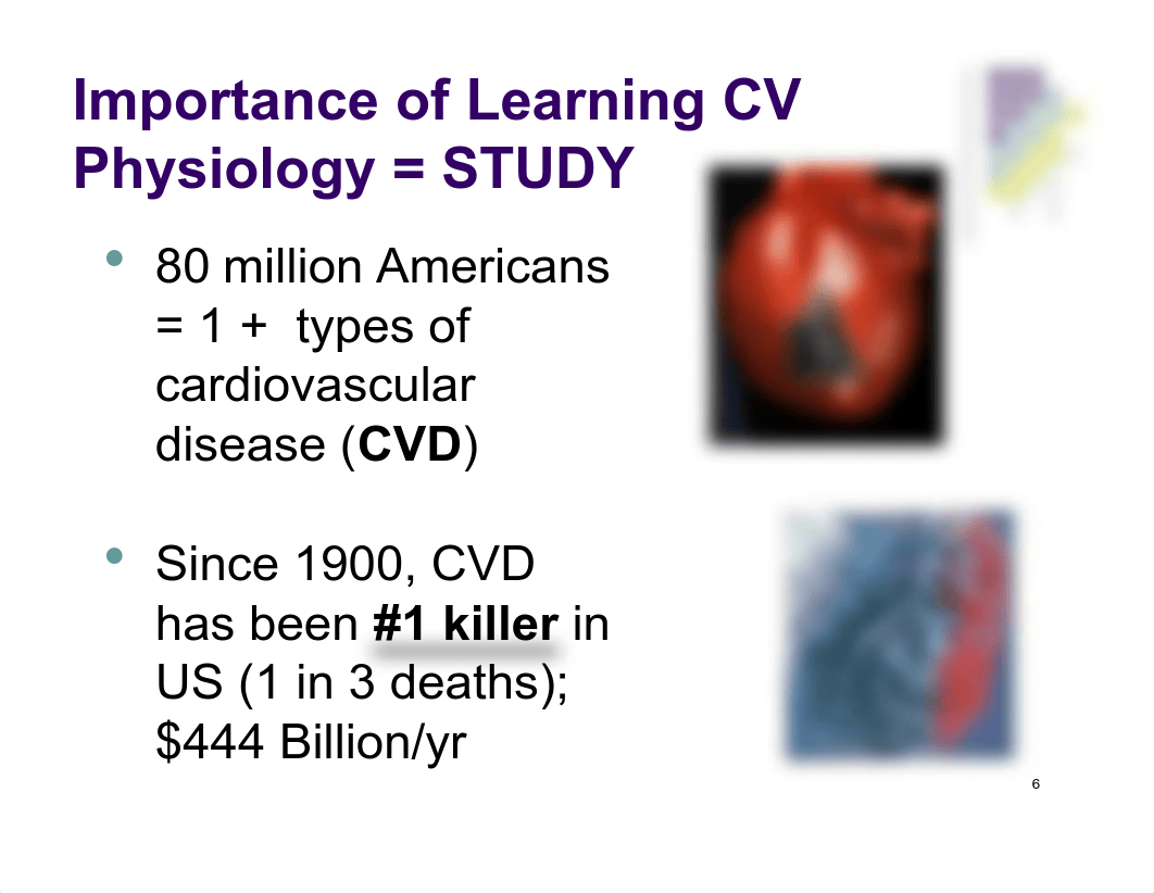 Lecture 25 & 26 CV Anatomy as a Pump Physiology Lecture 25_26_dkiopz72bq7_page5