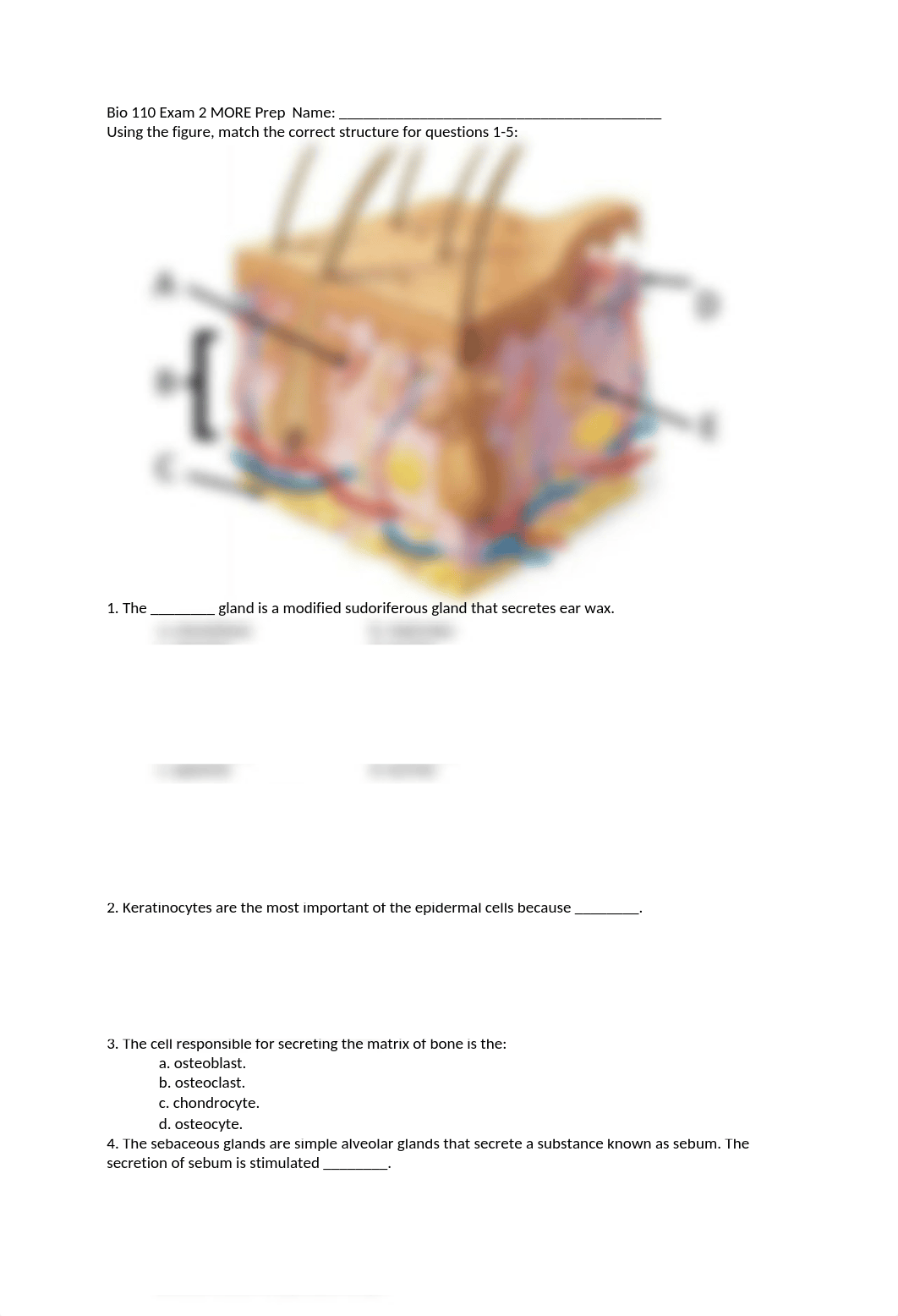 Bio 110 Exam 2 MORE IC Prep UPDATED.docx_dkj69z2h3ei_page1