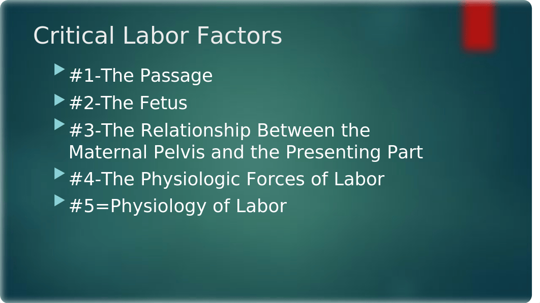 Labor and Delivery Processes SP18.pptx_dkj84htm9o9_page3