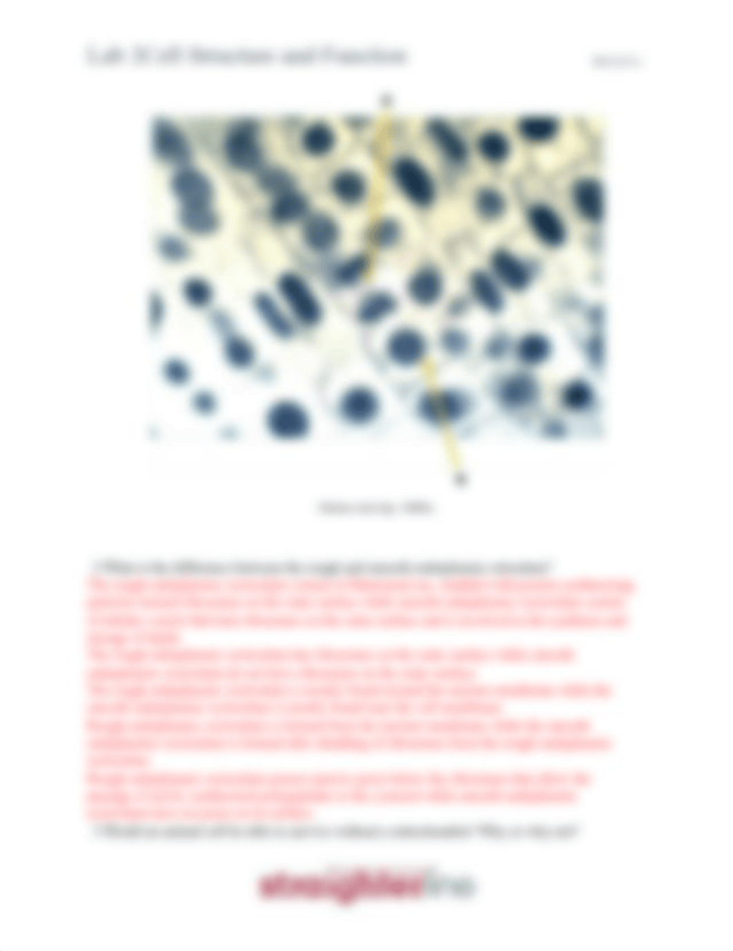 BIO201L+Lab+2+Upload+Document.docx_dkj8ftl638j_page2