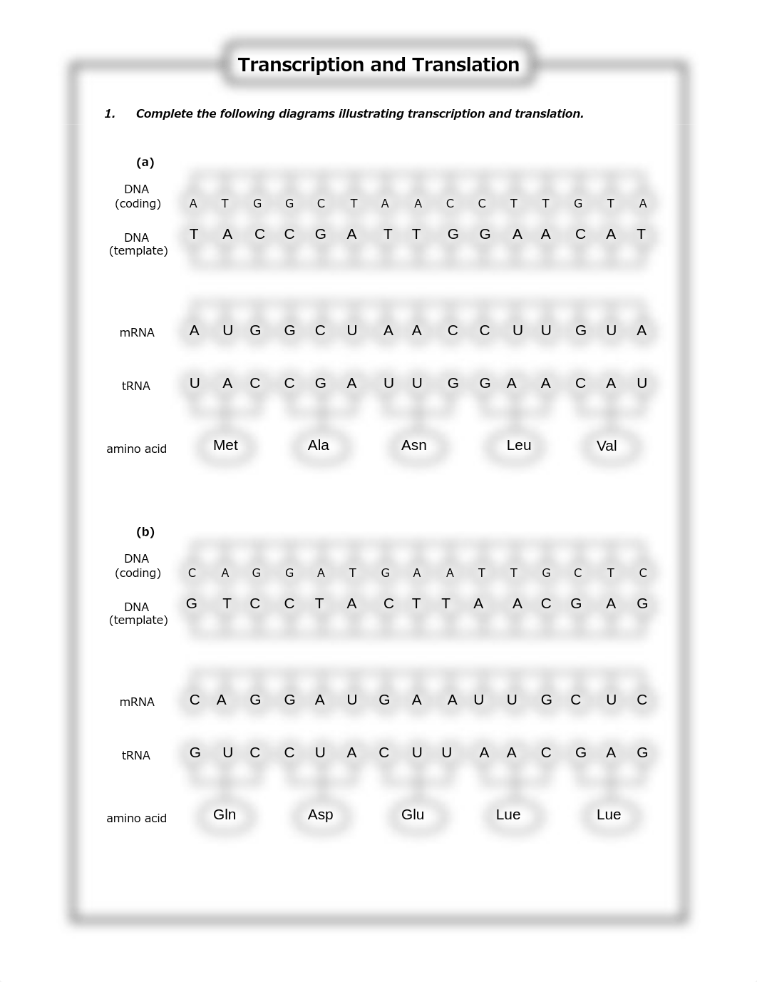 Transcription_and_Translation_-_Worksheet_-_StudentReview.pdf_dkjhgg0h3yz_page1