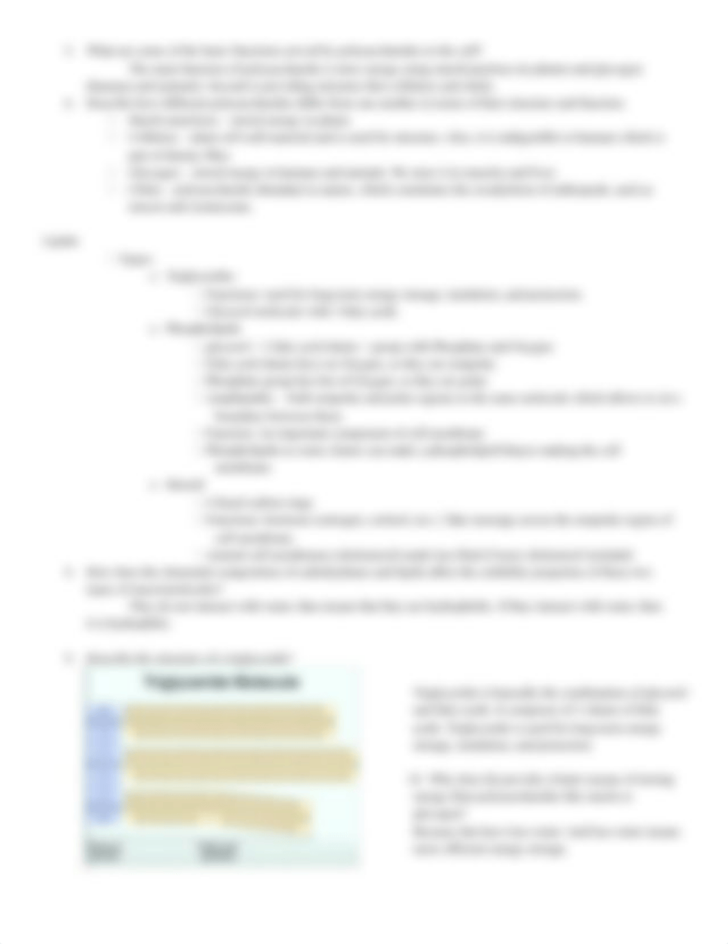 Study Guide 4.docx_dkji2iypf6d_page2