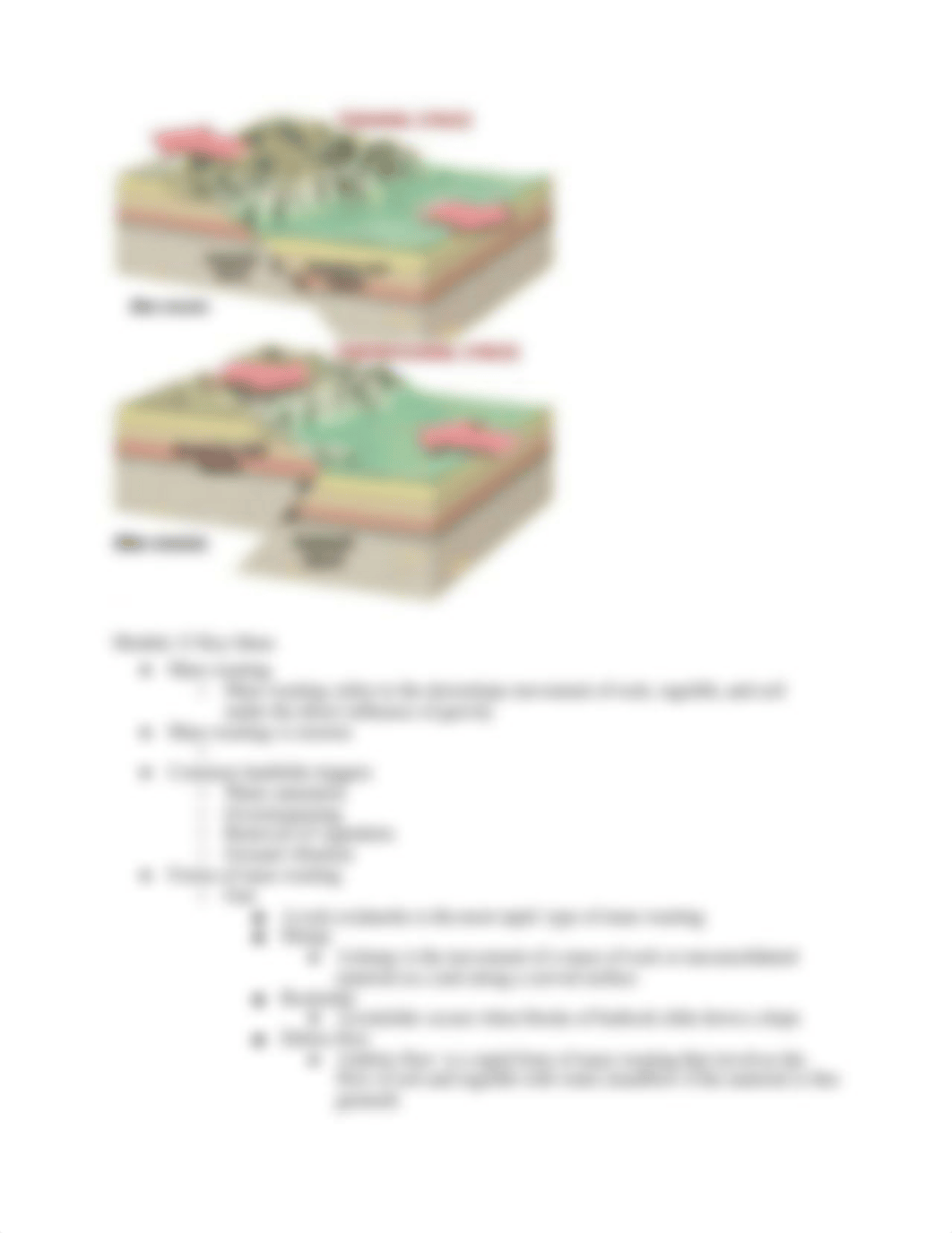 Geology Exam 3 study Guide.docx_dkjp4jj9ejl_page3