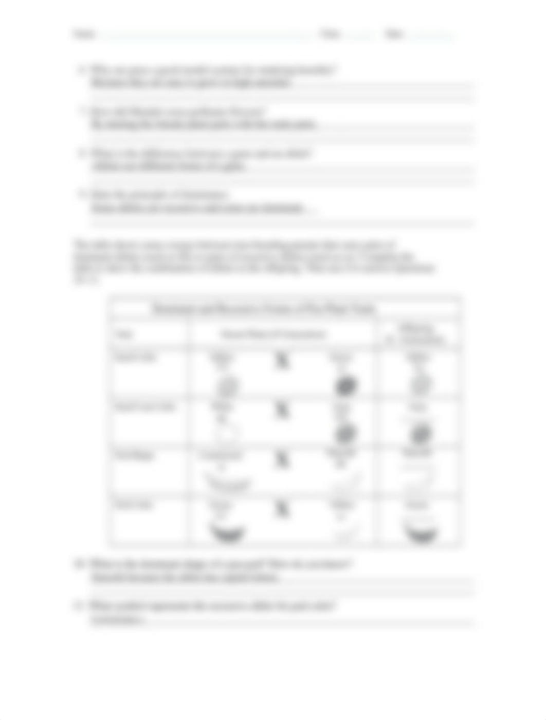 Copy_of_Mendelian_Genetics_Worksheet.docx_dkjp6y55mh9_page2