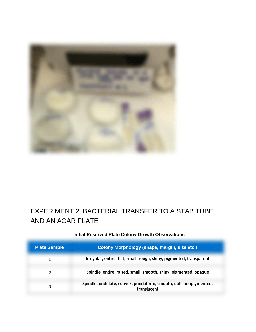 Culturing and Aseptic Technique.docx_dkjr1afm4x0_page5