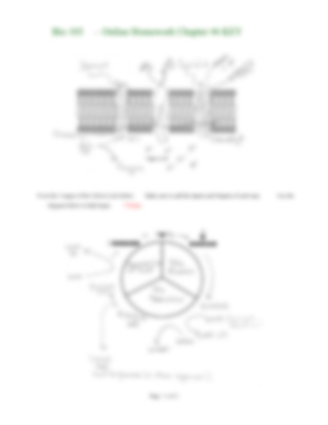 Bio 103 Homework 6 - Photosynthesis KEY.pdf_dkk37s3dwsc_page2