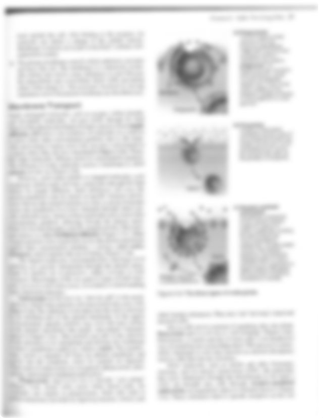 Chapter 2 Cells.pdf_dkk3i0vvc6u_page5