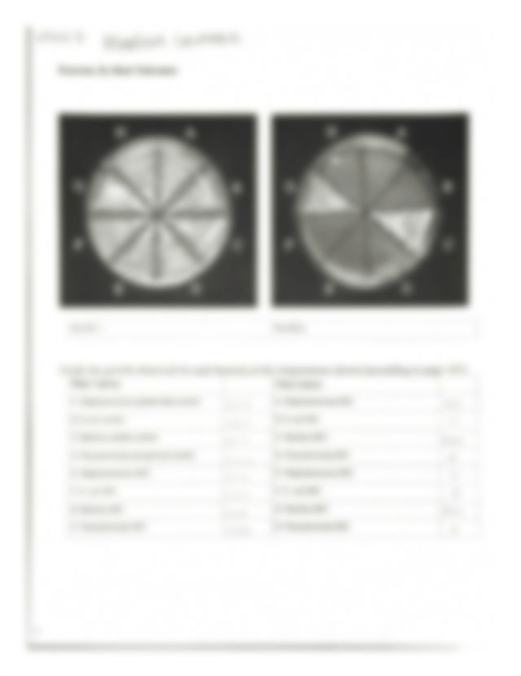 Week 5 Lab.pdf_dkk8pqasq8t_page1