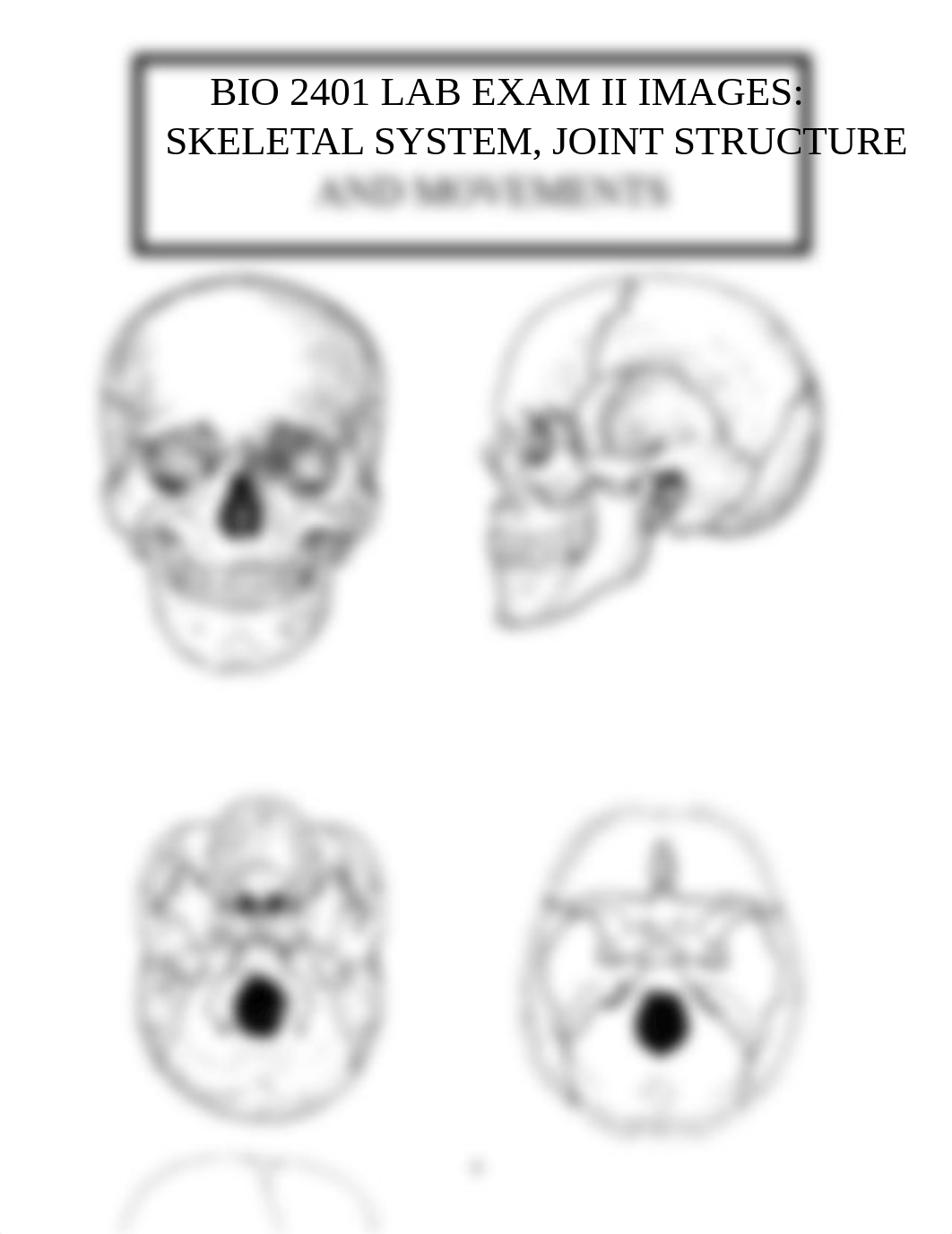 BIO 2401 Laboratory Images for Study.docx_dkkka0phge4_page4