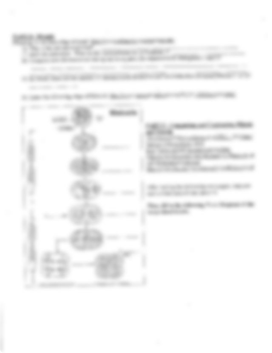 Mitosis and Meiosis Webquest Master.pdf_dkkt1o54uir_page2