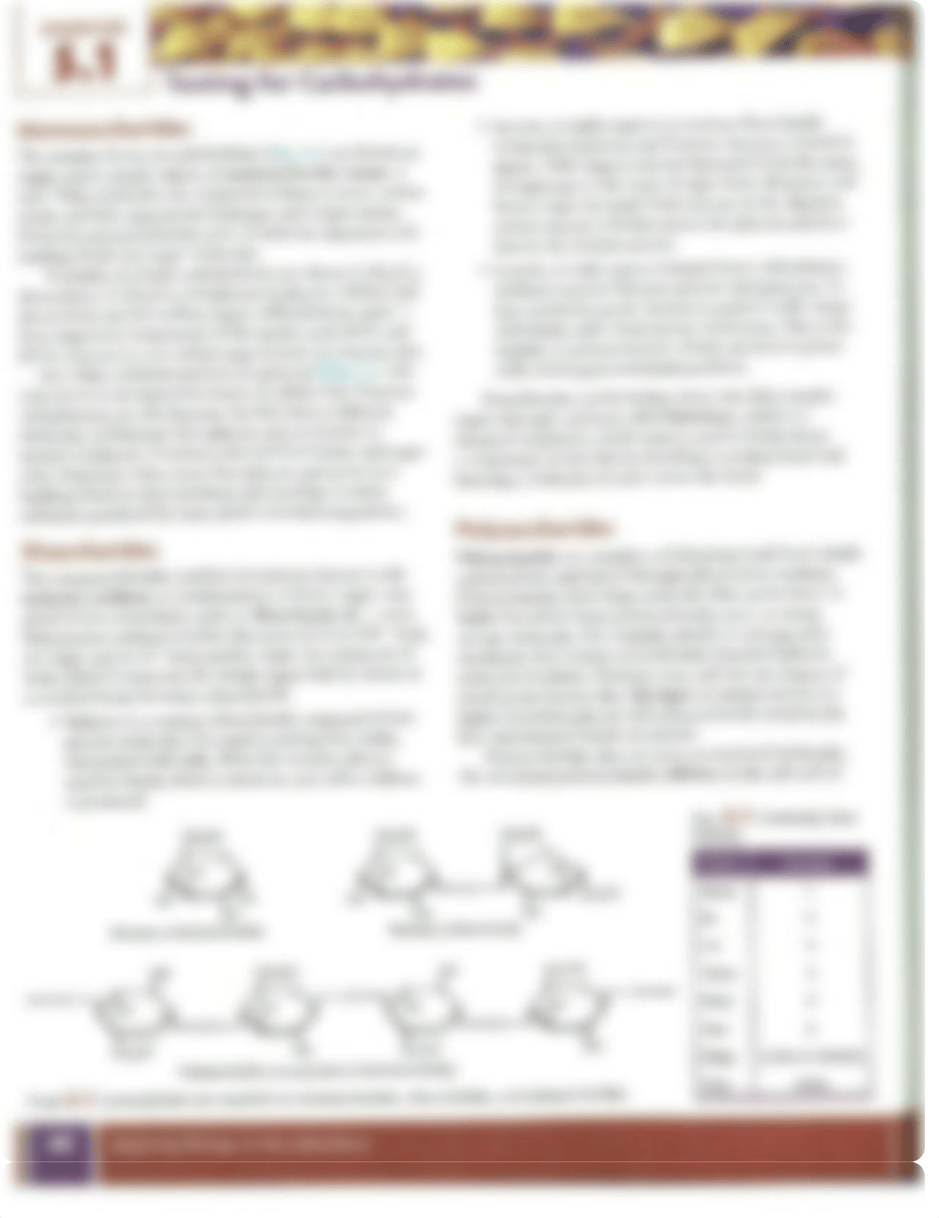 Lab03.pdf_dkkyso3xsv4_page2