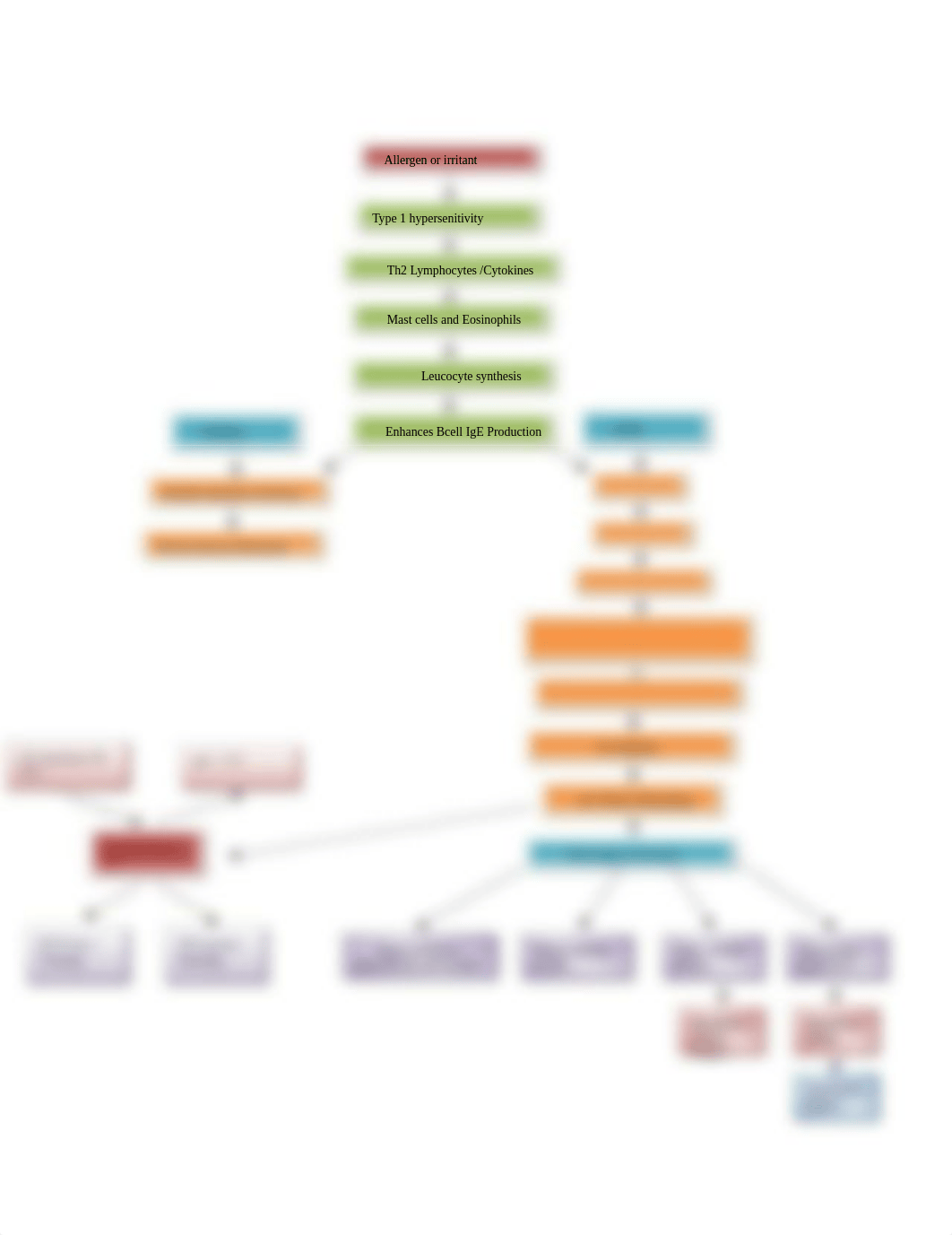 concept map for Pulmonary case study.docx_dkkytd05o8j_page2