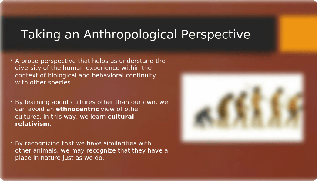 Biological Anthropology Chapter 1_Introduction to Biological Anthropology (2).pptx_dkkzt3lwd9s_page5