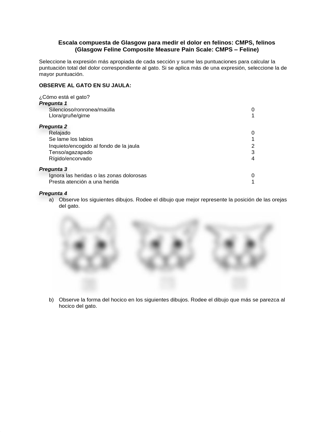 Spanish_CMP_feline Newmetrica pain management.pdf_dkld70hpmwh_page1