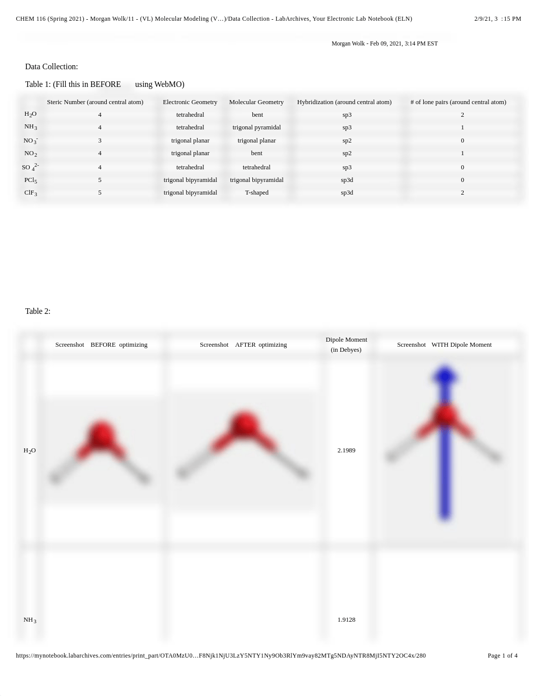 Molecular Modeling.pdf_dklfxayzo2o_page1