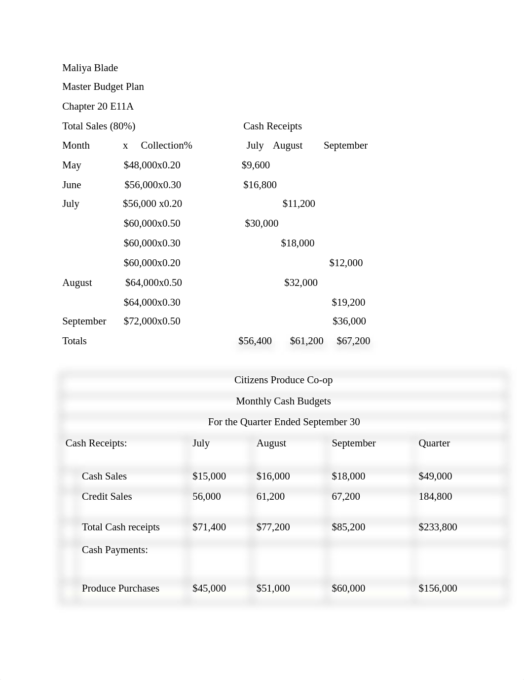 BladeMaster Budget_dklj7i2t238_page1