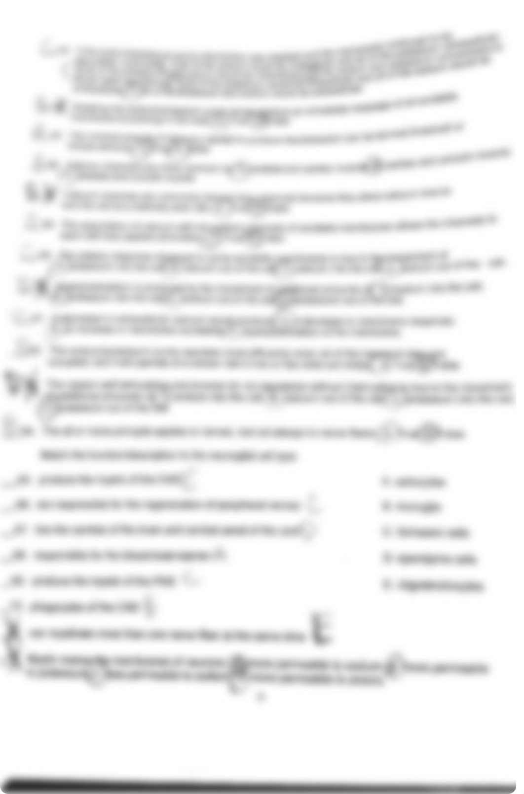 A&P 1 Exam 1.pdf_dklnllo0pjv_page4