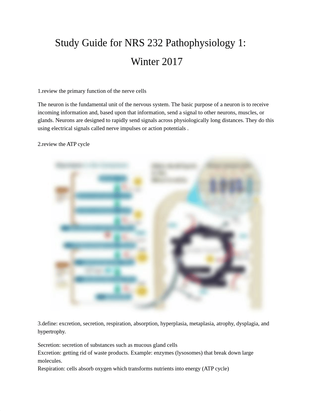 StudyGuideforNRS232Pathophysiology1 (1)_dklnxuf3qol_page1