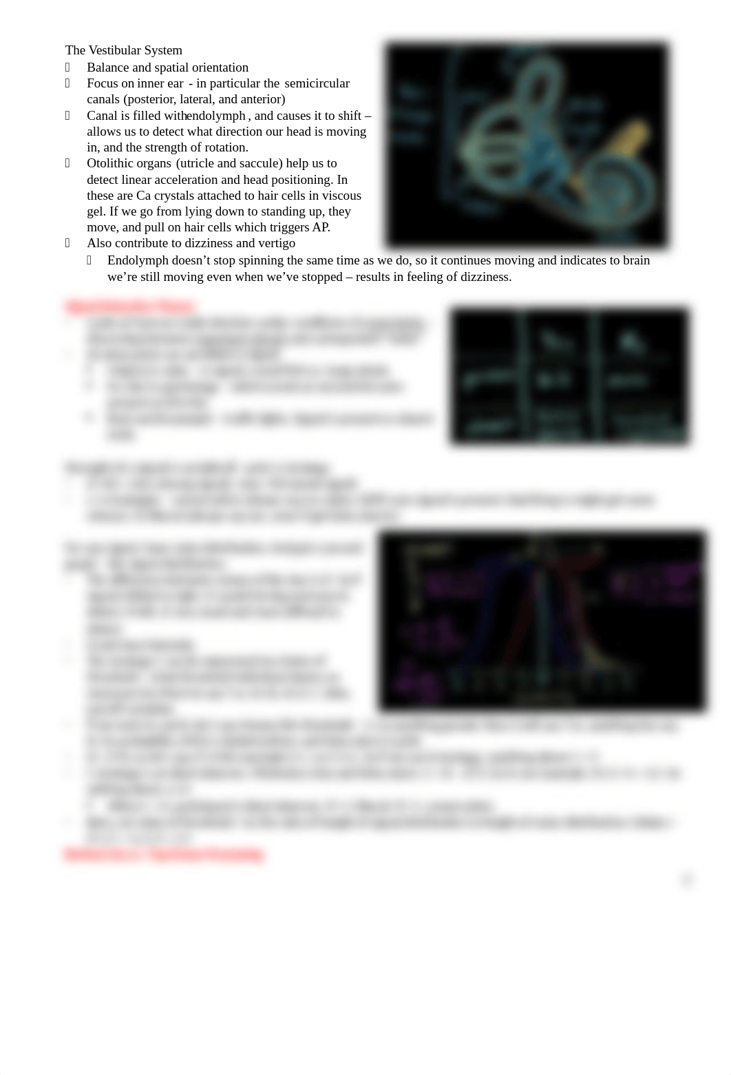 KA P S - The Lazy OCD Version.docx_dklqb6ex2hh_page2