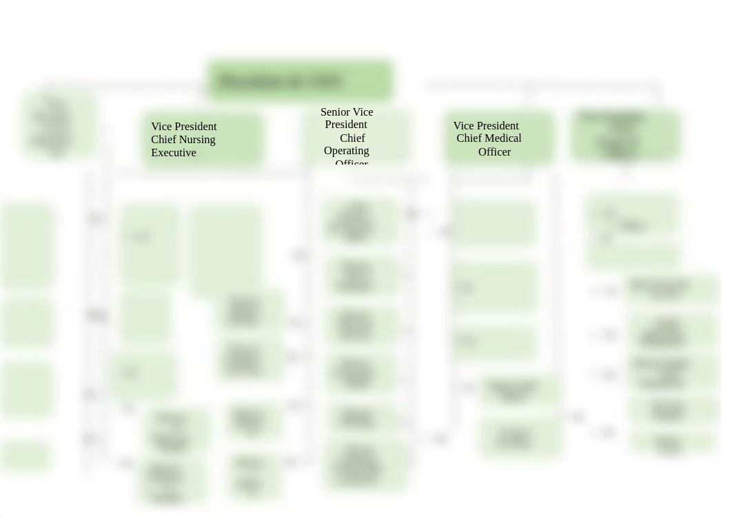 unc organazional chart 1.docx_dkly0hwm8ke_page1