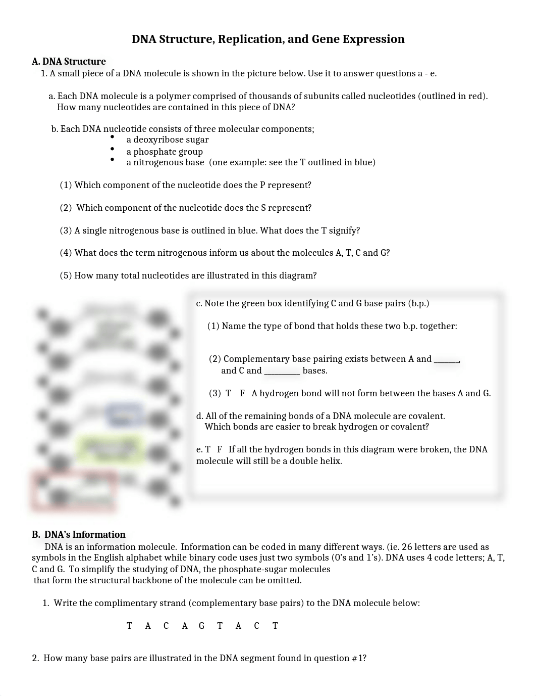 DNA_Replication_Gene_Expression.docx_dklzdmxr3a3_page1