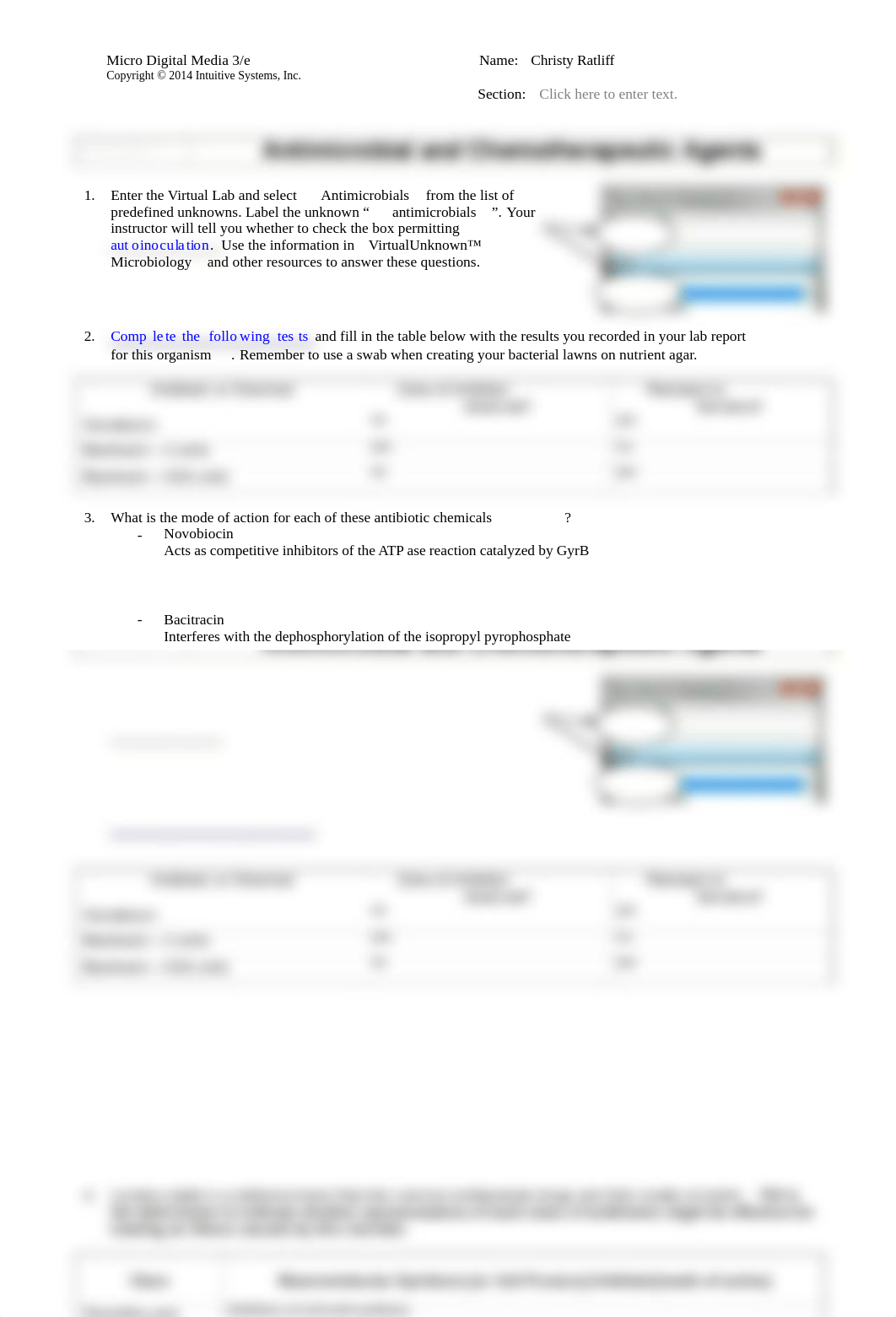 MDM Activity 7.docx_dkm2rv9aopb_page1