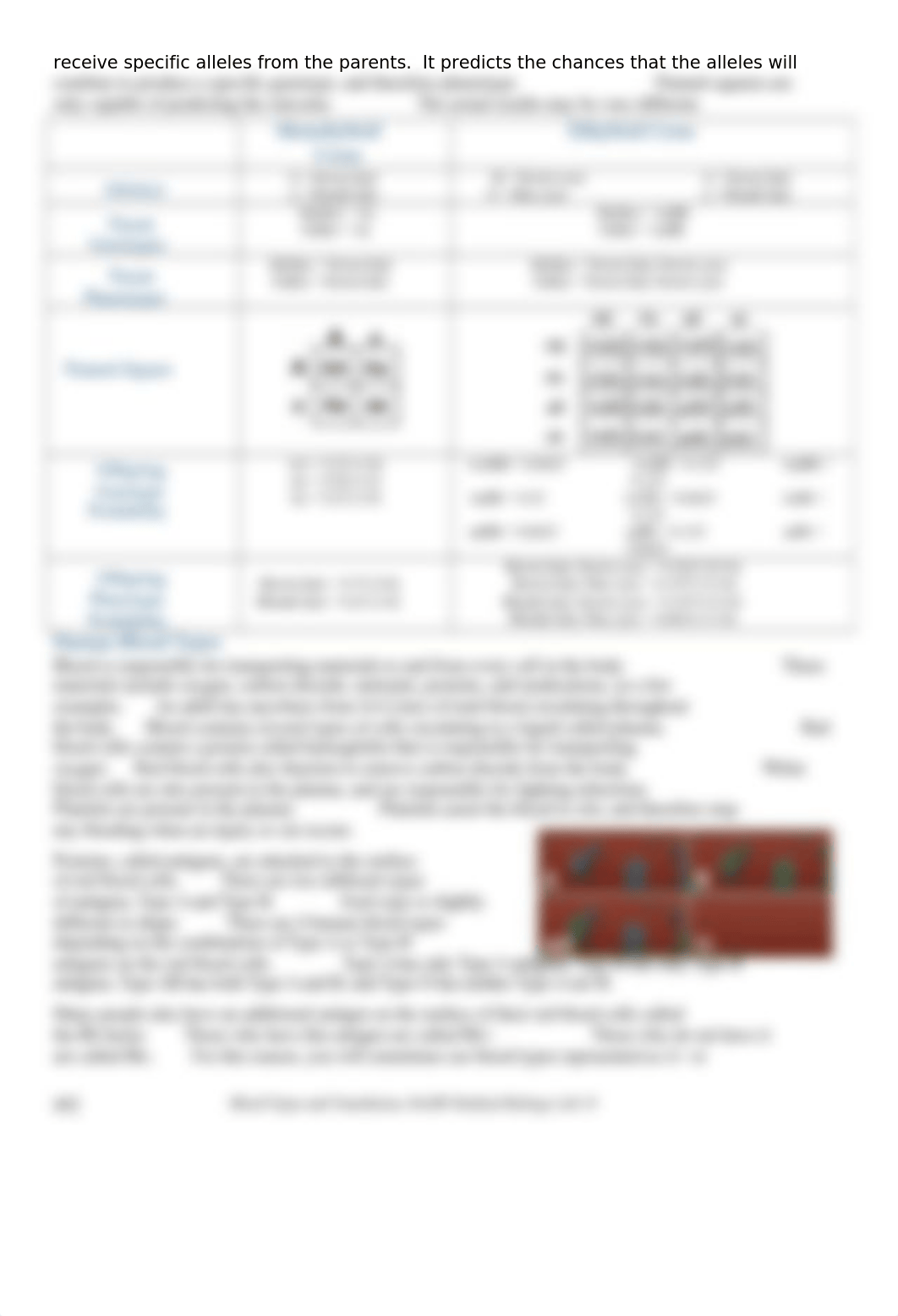 Blood Type and Transfusions Lab.docx_dkm7ocwjewy_page2