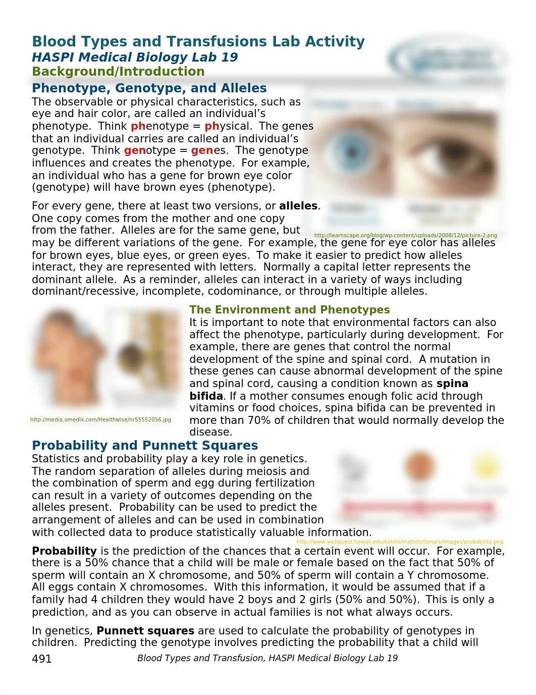 Blood Type and Transfusions Lab.docx_dkm7ocwjewy_page1