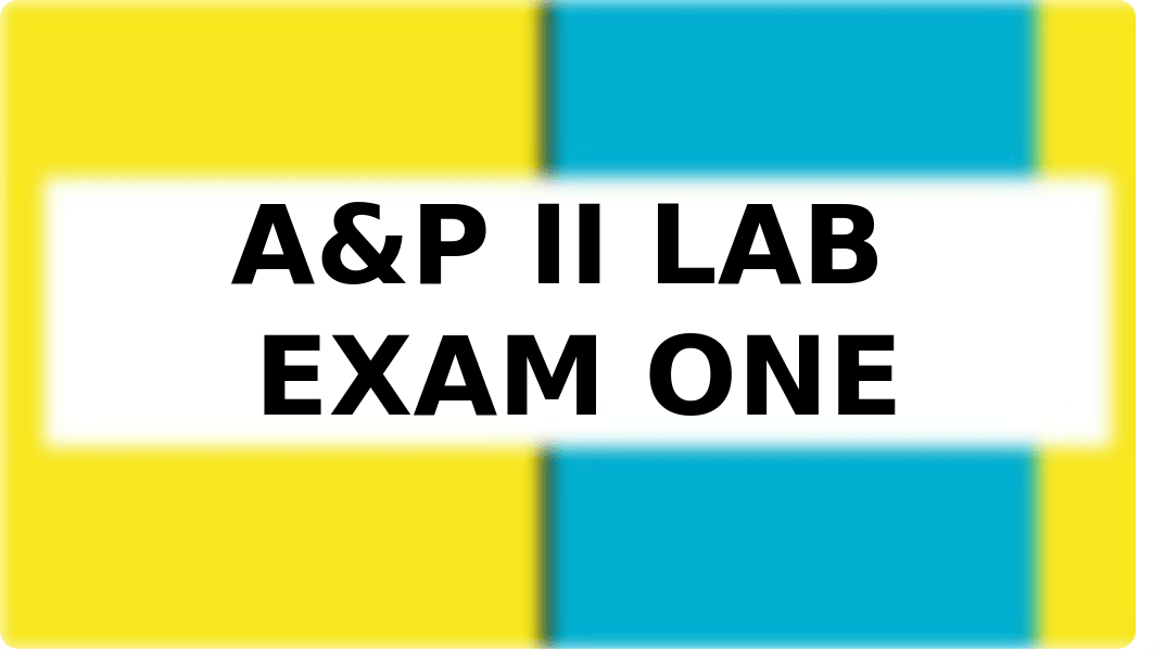 A&P II LAB  EXAM ONE_dkm9wqxz6mc_page1