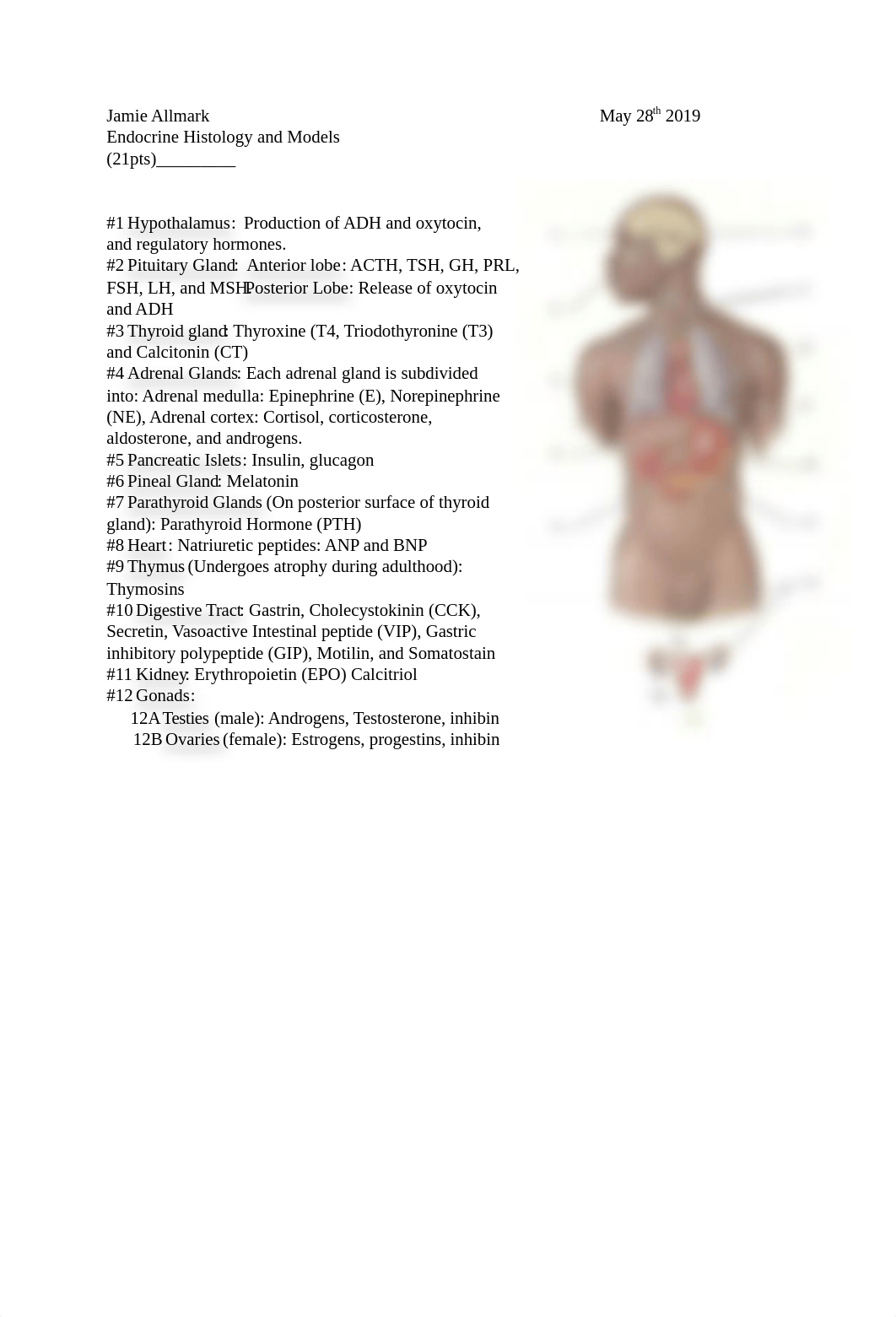 endocrine histology_dkmb18x731r_page1