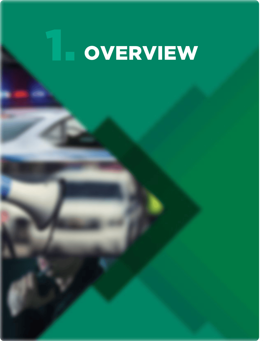 Police-Interactions-with-People-in-Crisis-and-Use-of-Force-Systemic-Review-Report-March-2017-Small.p_dkmccaqjd7j_page4