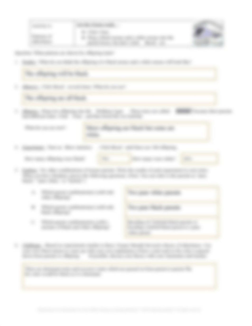 Mouse Genetics - Trait 1 Gizmo Lab (1).docx_dkmn3x6bx0w_page3