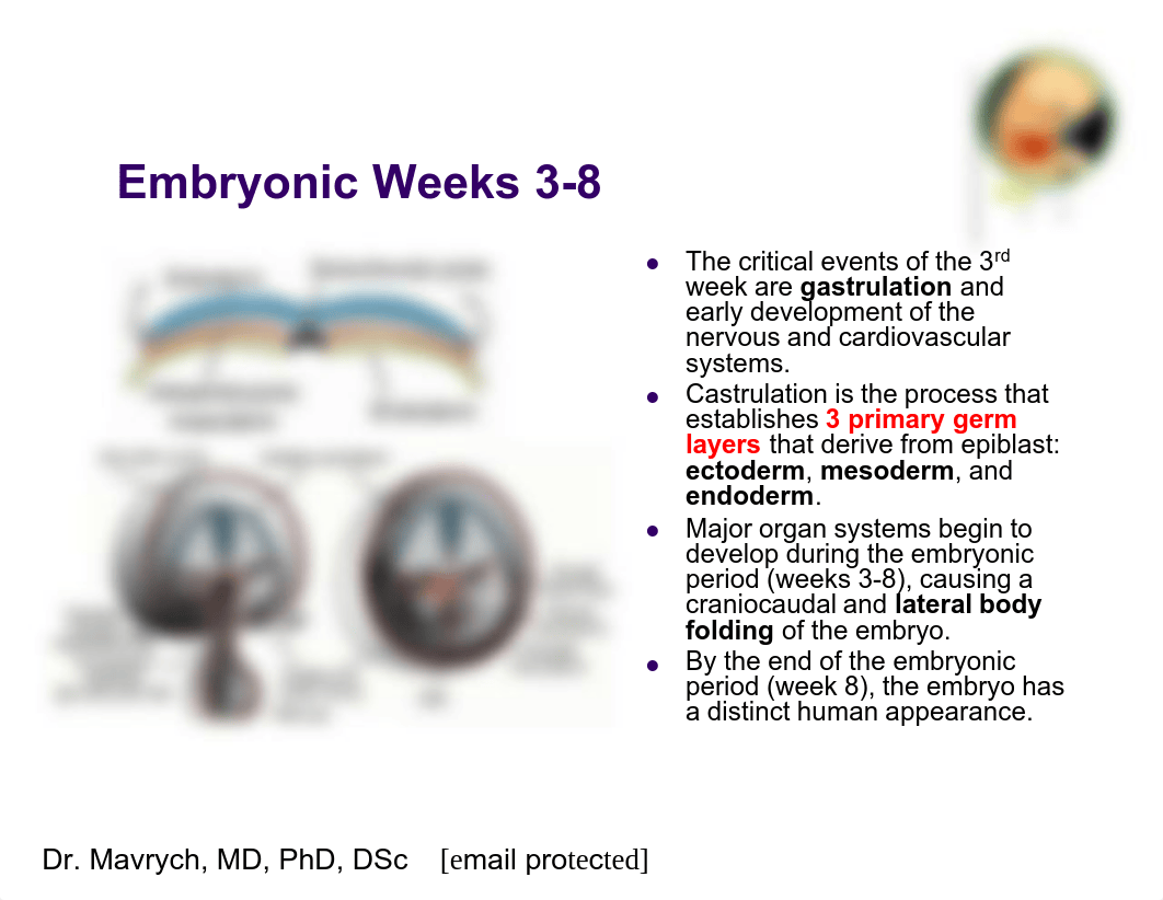 100 Concepts.pdf_dkmn8zqamrs_page5