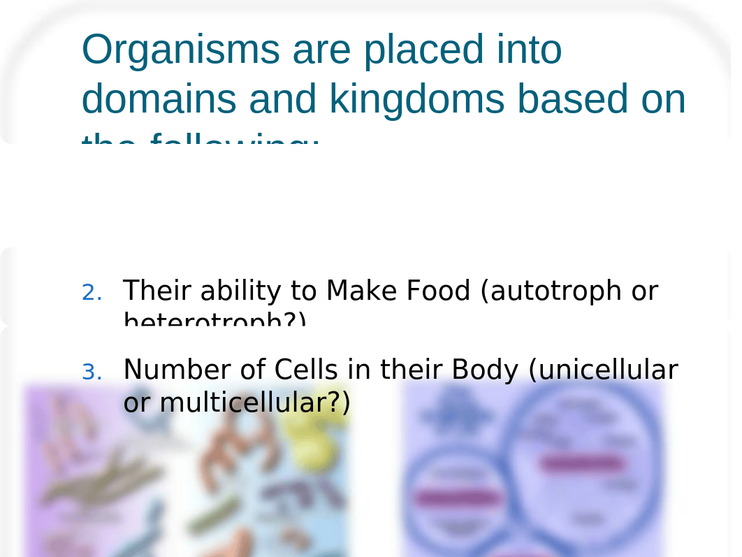 Domains and Kingdoms_dkmneru98jn_page2