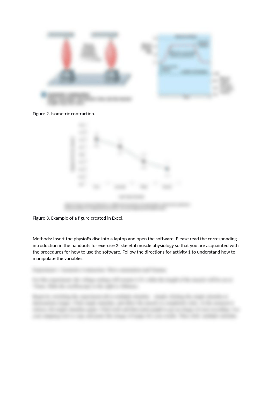 muscle physiology lab.docx_dkmrb2vuq77_page2