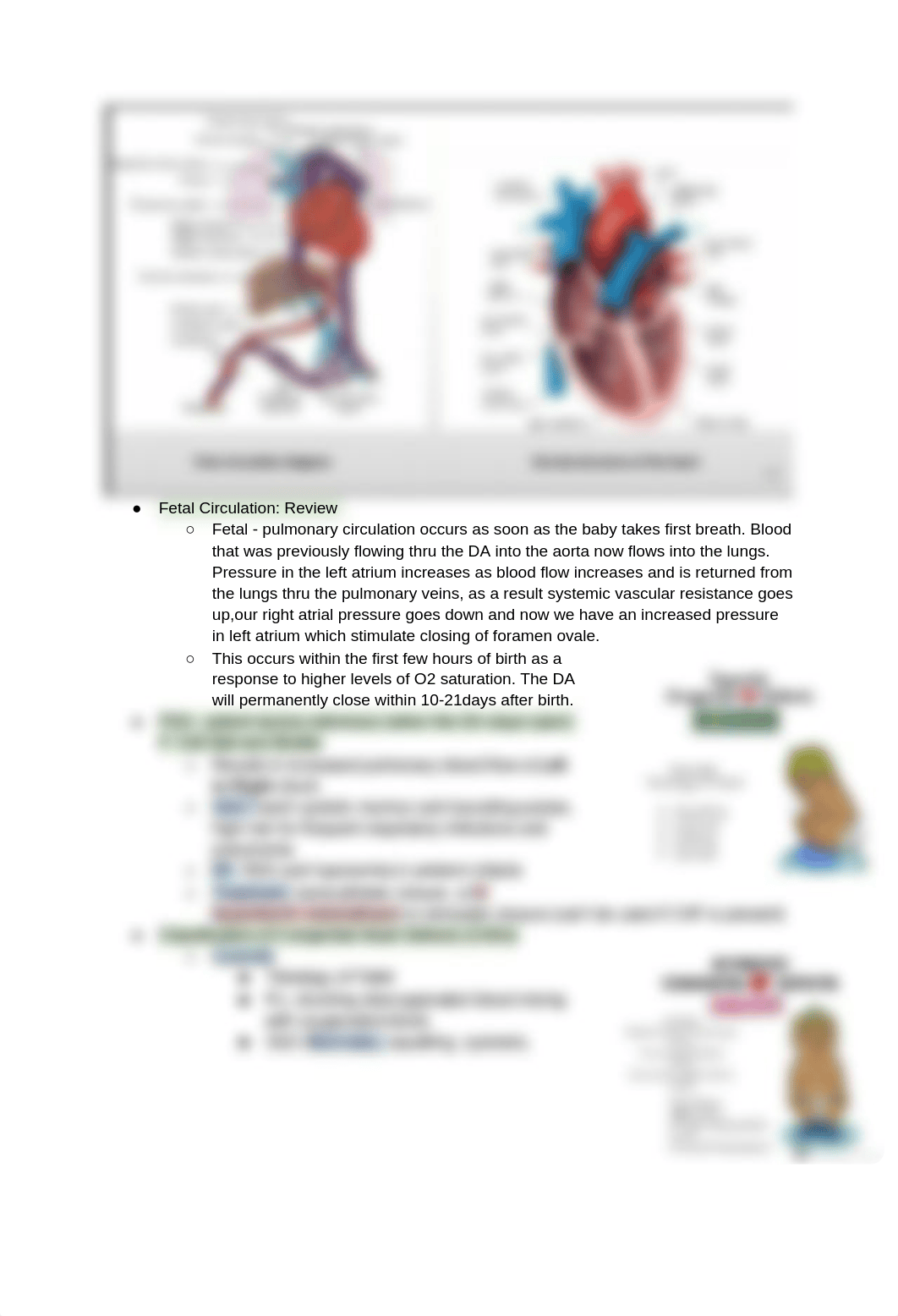 EX 4 Congential Heart Defects.docx_dkmu5nrda5g_page2