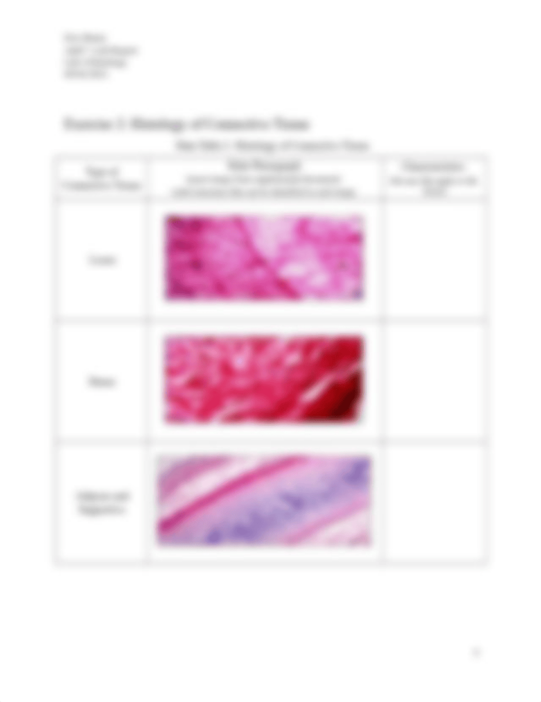 Eric.burns Lab Report 4 - Histology.docx_dkmvo7v47bp_page4