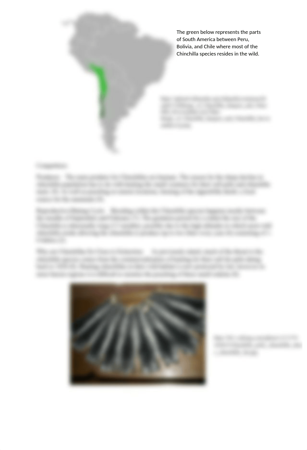 Endangered Species Project.docx_dkn5mey1bm8_page2