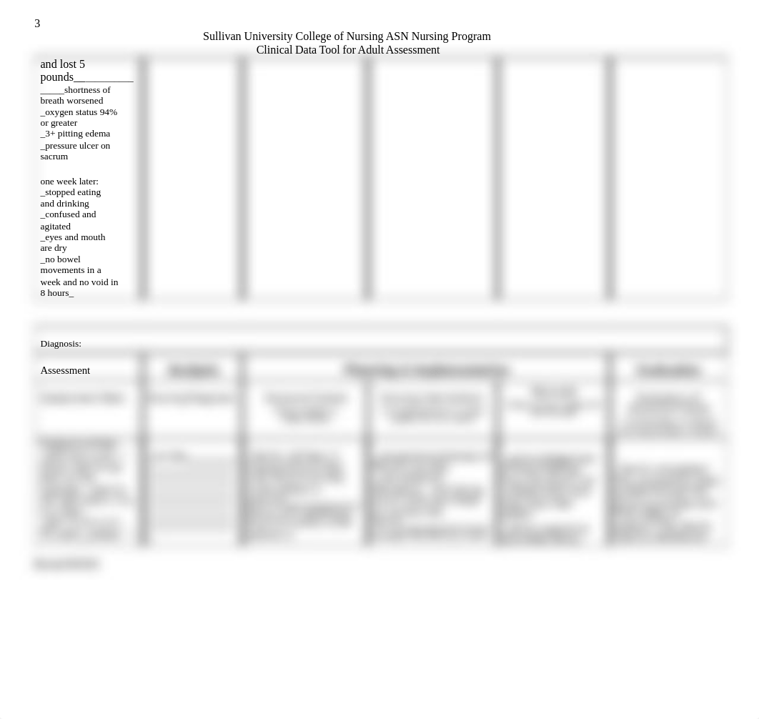 finished care plans.docx_dkn9v8e23rb_page3