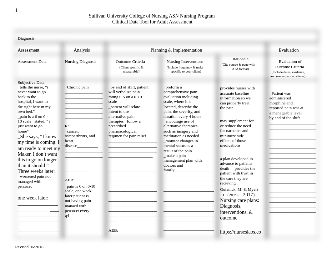 finished care plans.docx_dkn9v8e23rb_page1