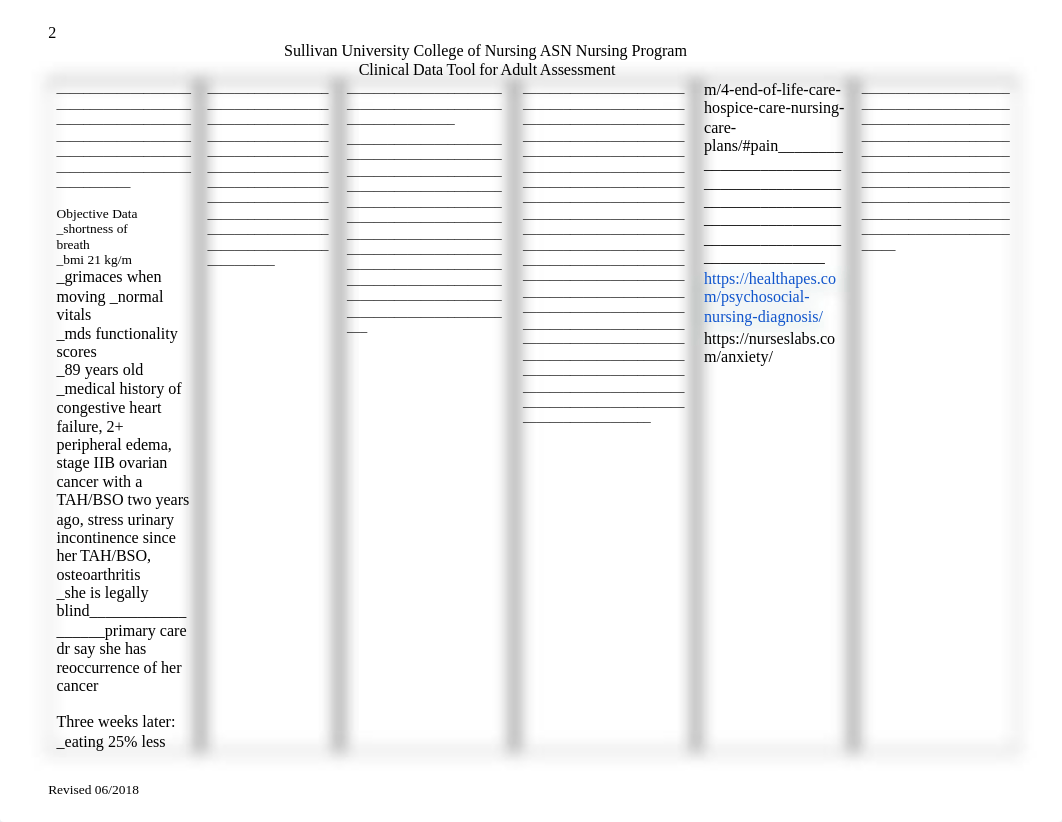 finished care plans.docx_dkn9v8e23rb_page2