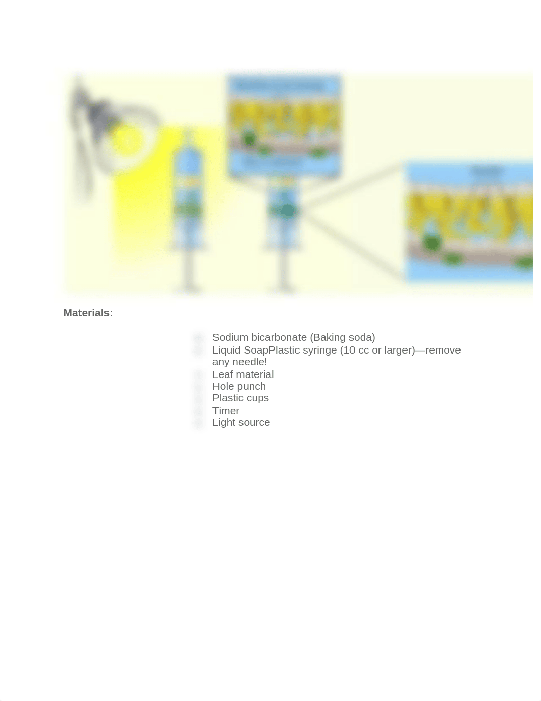 The Floating Leaf Disk Assay for Investigating Photosynthesis.pdf_dkne8ltfnbd_page2