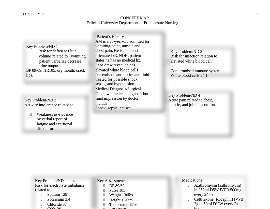 uhc concept map edited (3).docx_dknf7vmhqex_page2