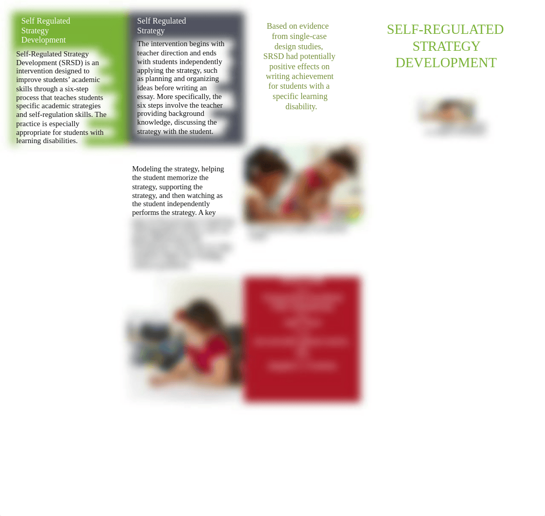 Self Regulated Strategy Development Brochure.docx_dknprckfzc9_page1